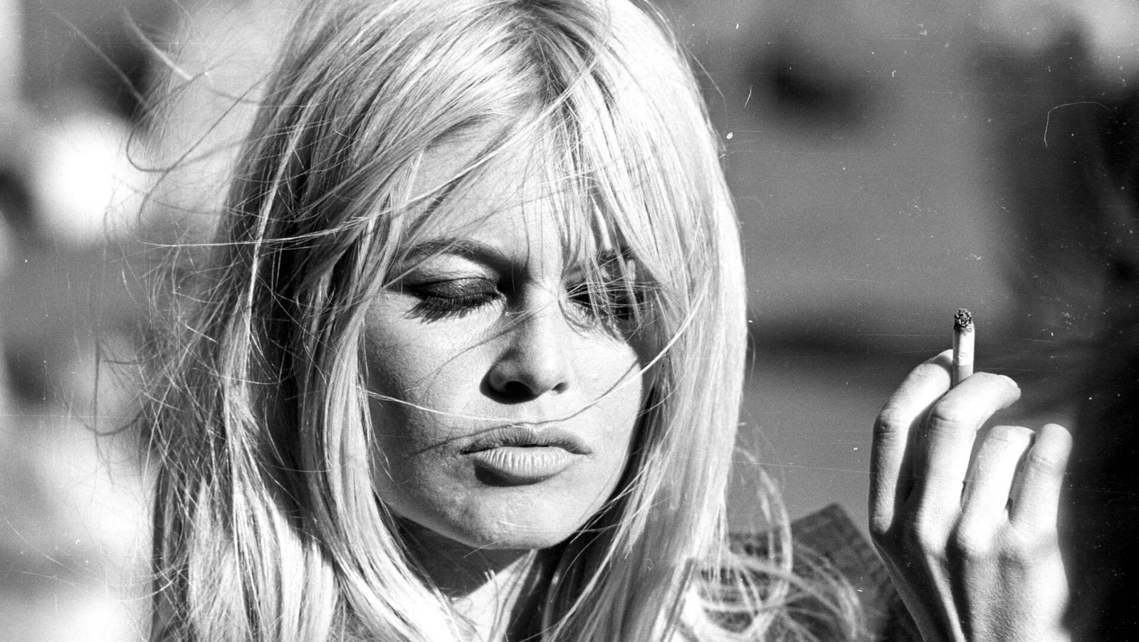Brigitte Bardot