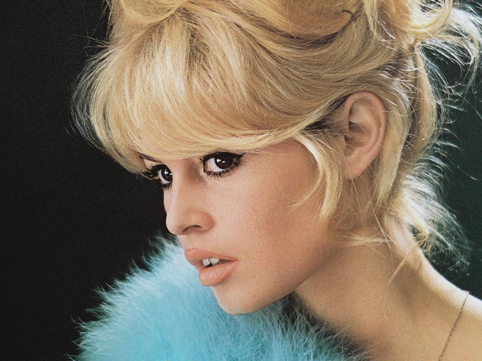 Brigitte Bardot