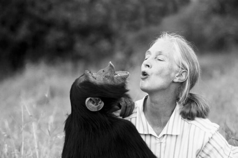Jane Goodall