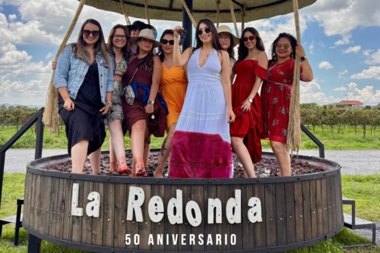 Viñedos La Redonda: 50 años de vino, tradición y turismo en Querétaro
