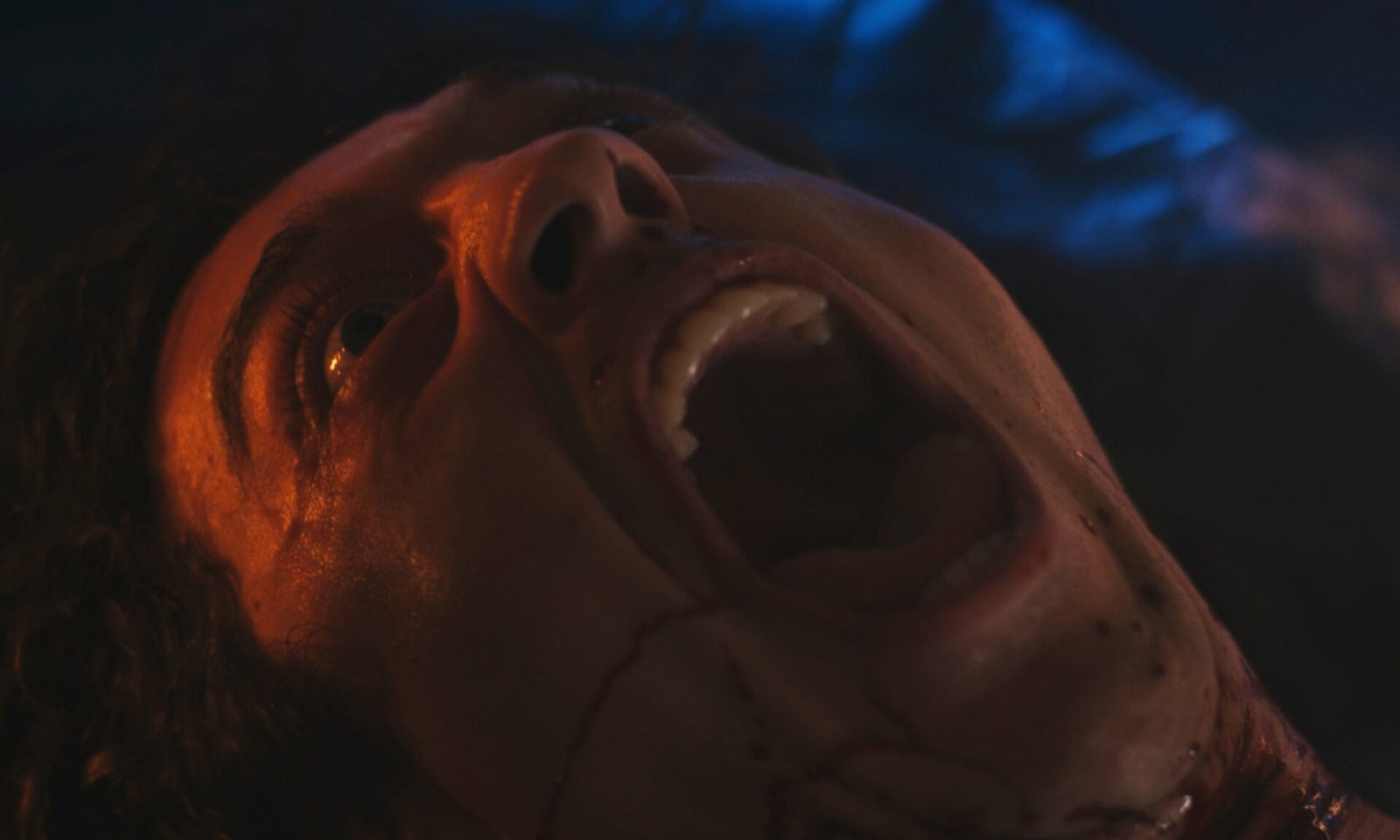 Bleeding película Macabro.