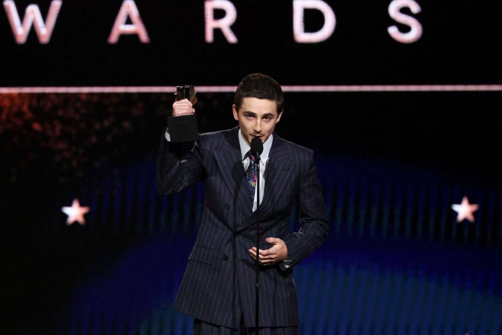 Timothee Chalamet Critics Choice