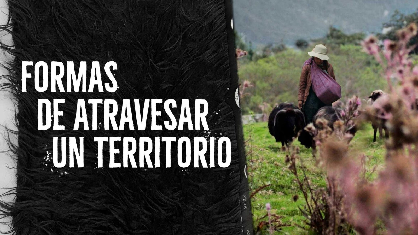 Formas de atravesar un territorio