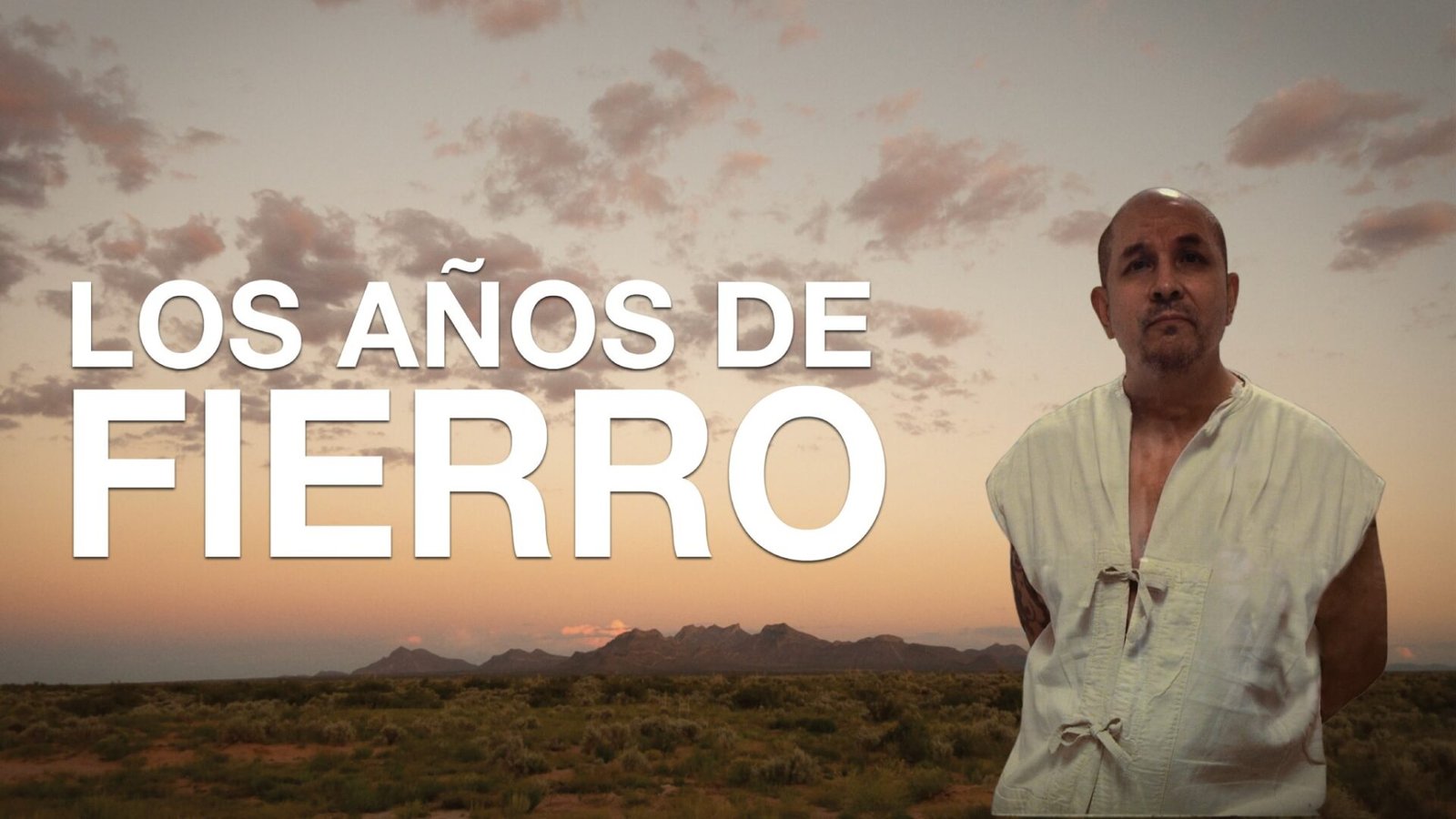 Los años de Fierro